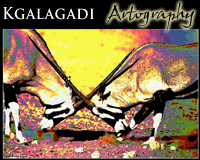 Fine Art Kgalagadi Artography